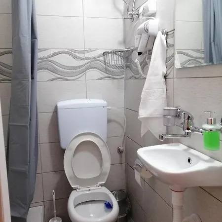 Проживание в семье Mitic 1 Ниш