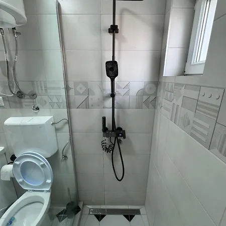 Mitic 1 Проживание в семье