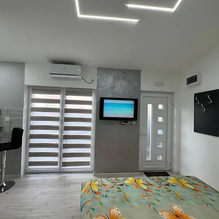 Mitic 1 Проживание в семье Ниш