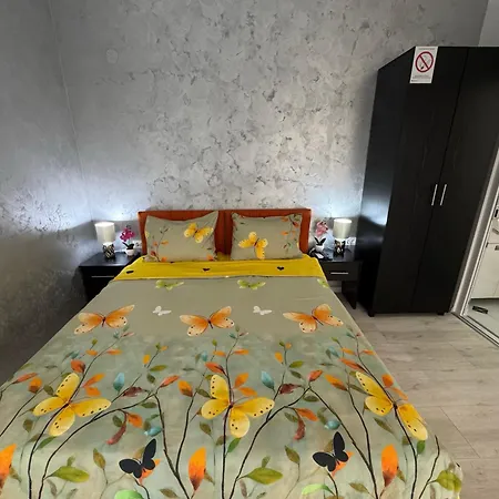 Mitic 1 Проживание в семье