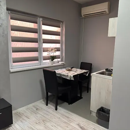 Проживание в семье Mitic 1