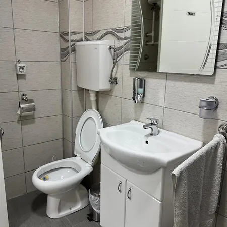 Проживание в семье Mitic 1