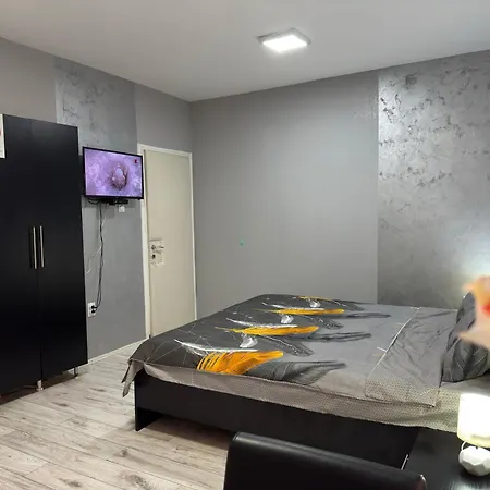 Проживание в семье Mitic 1 *