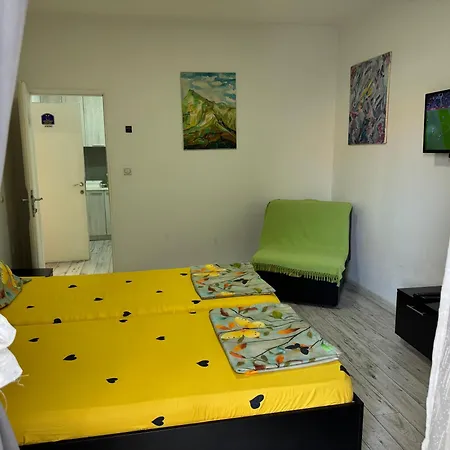 Проживание в семье Mitic 1