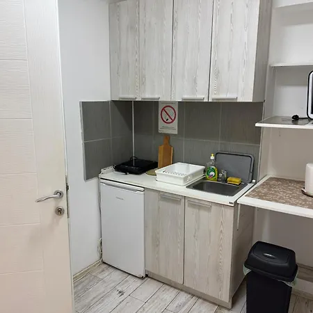 Проживание в семье Mitic 1 Ниш