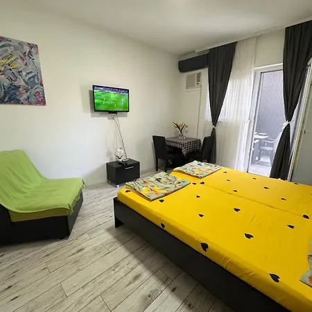 Mitic 1 Проживание в семье