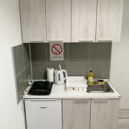 Проживание в семье Mitic 1